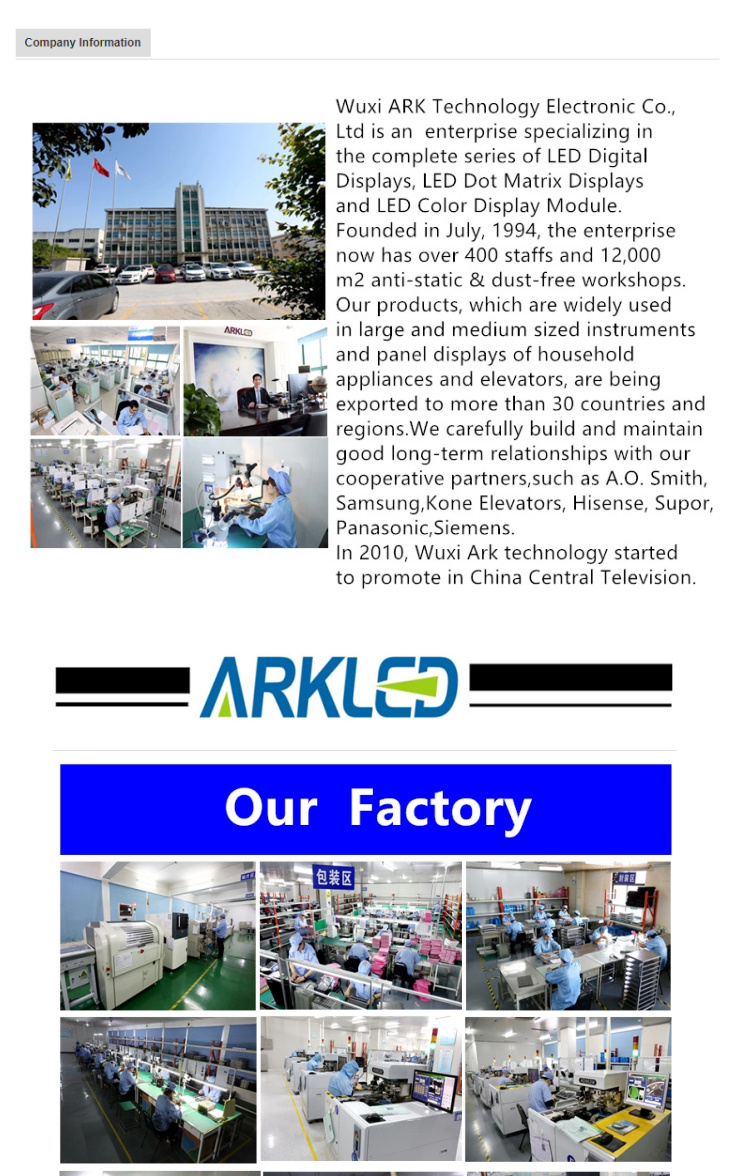 Customized LED Display