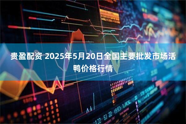 贵盈配资 2025年5月20日全国主要批发市场活鸭价格行情