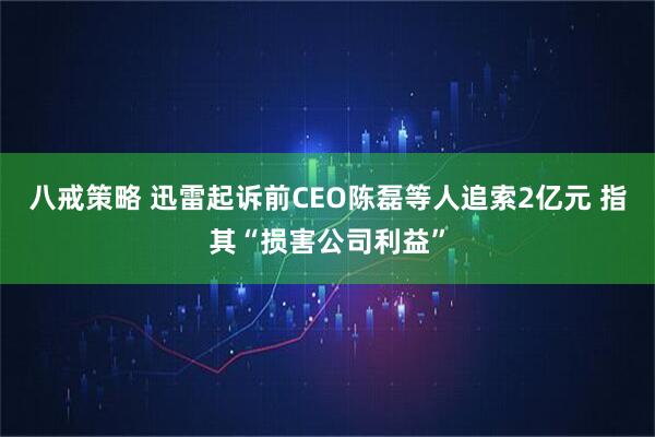 八戒策略 迅雷起诉前CEO陈磊等人追索2亿元 指其“损害公司利益”