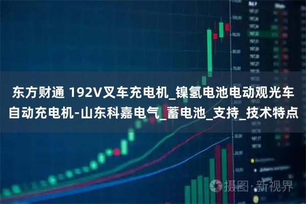 东方财通 192V叉车充电机_镍氢电池电动观光车自动充电机-山东科嘉电气_蓄电池_支持_技术特点