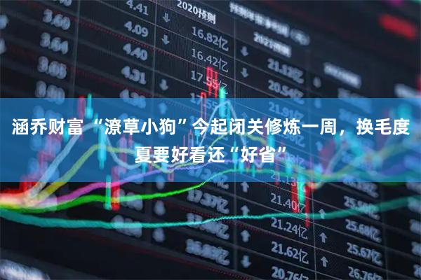 涵乔财富 “潦草小狗”今起闭关修炼一周，换毛度夏要好看还“好省”