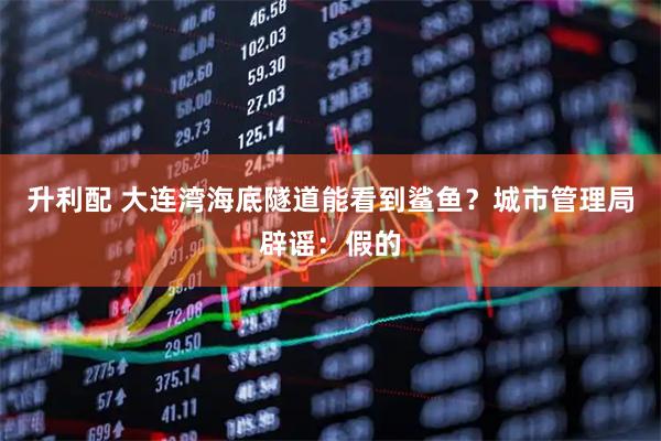 升利配 大连湾海底隧道能看到鲨鱼？城市管理局辟谣：假的